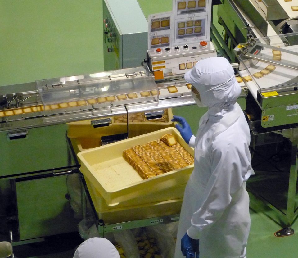 Pracownik w odzieży ochronnej przy linii pakującej produkty spożywcze